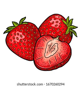 Whole and slice strawberry. Engraving vintage vector color illustration. Isolated on white background. Hand drawn design element for label and poster