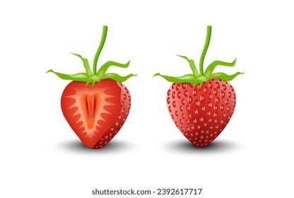 Whole and slice of strawberry realistic 3d illustration isolated on white background.