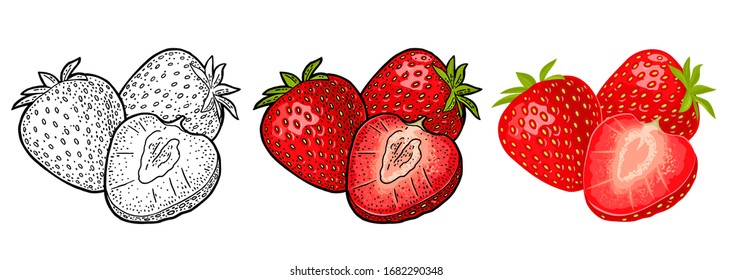 Whole and slice strawberry. Vector color and black vintage engraving and flat icon. Isolated on white background. Hand drawn design element for label and poster