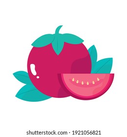 ilustración vectorial de harina saludable vegetal entera y rebanada de tomate