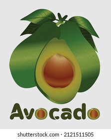  Vocado entero y en rodajas con hojas Colección de frutas exóticas Vector, diseño realista para diseños textiles y gráficos.