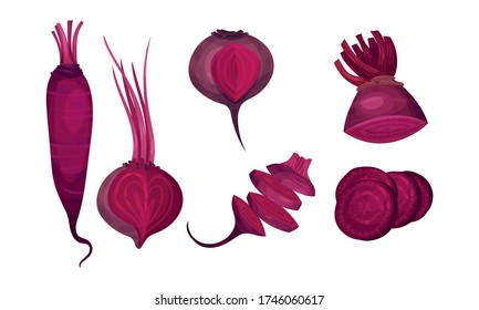 Whole and Sliced Beet Root Isolated on White Background Vector Set
