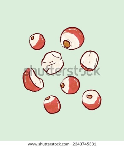 Whole and sliced Gordon Euryale Seeds in medicine illustration