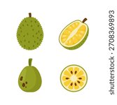 Whole and sliced jackfruit vector illustration for tropical fruit design element.