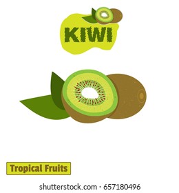Whole and sliced kiwi fruit segment isolated on white background. Realistic vector illustration of tropical fruit kiwi. 