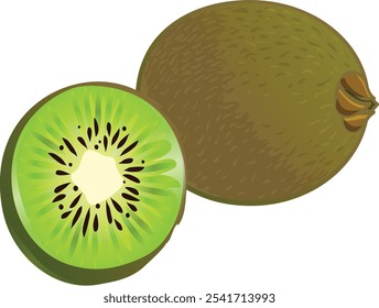 Whole and Sliced Kiwi Fruit Vector Illustration Isolated
