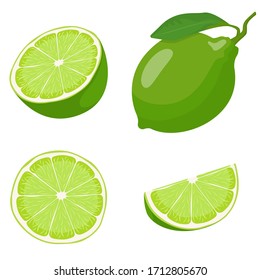 Whole and sliced lime. Vector set in cartoon style isolated on white background.