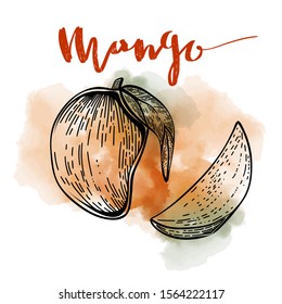 Whole and sliced mango, vector