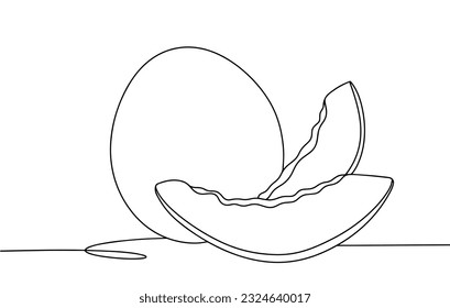 Whole and sliced melon. One line drawing for different uses. Vector illustration.