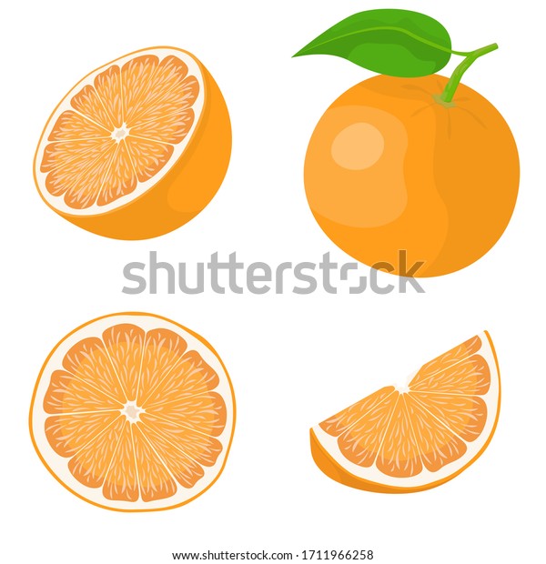 Whole Sliced Orange Vector Set Cartoon Stock Vector (Royalty Free ...