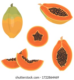 Whole And Sliced Papaya. Tropical Fruit In Cartoon Style.