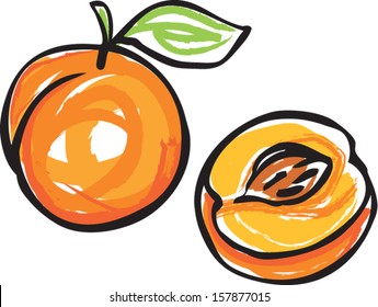 Whole and sliced peach vector illustration