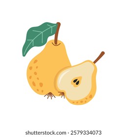 Whole and Sliced Pear. Colorful vector illustration of a whole pear with a green leaf and a sliced pear half, showing seeds and texture