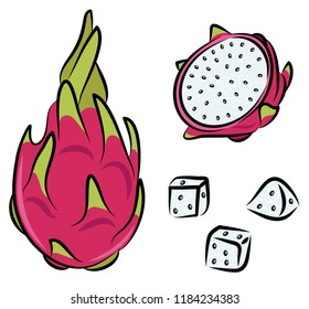 Whole and sliced pink dragon fruit, vector isolated illustration