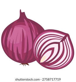Whole and sliced red onion isolated on white background, fresh vegetable set, cooking ingredient vector illustration