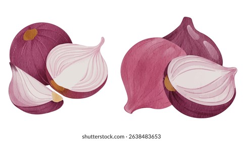 Whole and Sliced Red Onion, Shallot Spice For Cooking and Food Illustration