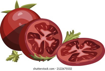 Whole and sliced red tomatoes, with herbs and leaves, vector image isolated on white background
