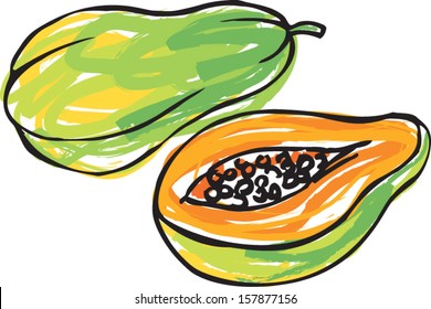 Whole sliced & segment papaya vector illustration