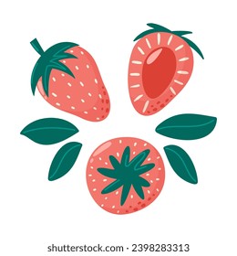 Whole and sliced strawberry with leaves. Set of sweet berries. Summer vitamin vector abstract illustration for banner, poster, flyer, banner, greeting card. Cartoon flat style.