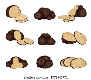 Whole and Sliced Truffle as Fruiting Body of Subterranean Ascomycete Fungus Vector Set