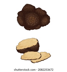 Whole and Sliced Truffle as Fruiting Body of Subterranean Ascomycete Fungus Vector Set