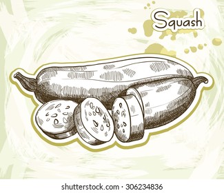 whole and sliced zucchini. sketch made by hand