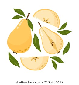Whole and slices pears with leaves. Set of sweet fruit. Summer vitamin vector abstract illustration for banner, poster, flyer, greeting card. Cartoon flat style.