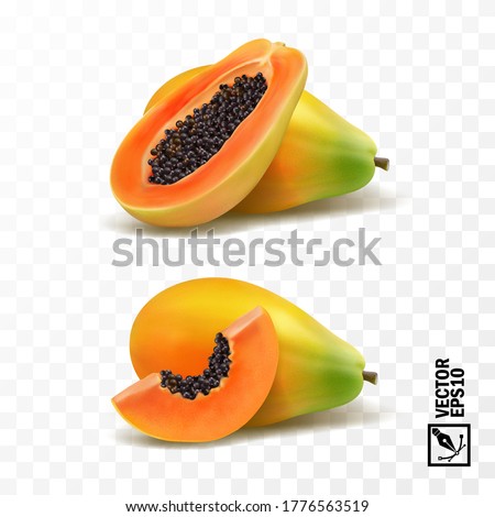 Whole and slices pieces papaya fruit, 3D realistic isolated vector, editable handmade mesh 商業照片 © 