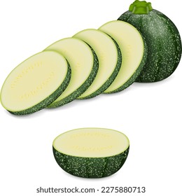 Whole, slices, wedges of Round Zucchini or Eight Ball squash. Cue Ball squash. Courgette or marrow. Summer squash. Cucubits. Fruits and vegetables. Vector illustration isolated on white background.