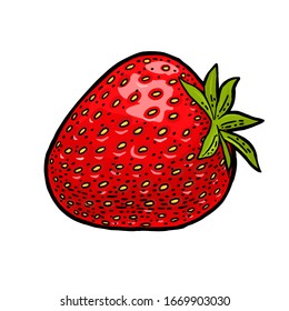 Whole strawberry. Engraving vintage vector color illustration. Isolated on white background. Hand drawn design element for label and poster