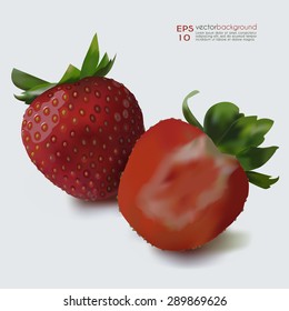 Whole Strawberry & half of the fruit vector illustration. Fruit realistic image against white background. Use for food and cosmetic package labeling, decoration, illustration. Layered, editable design