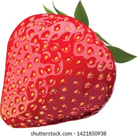 Whole strawberry with leaves isolated. Healthy food. Vector illustration For Decor And Fabric. Ripe berries.