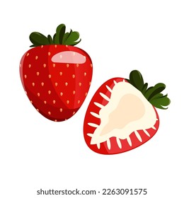 Whole strawberry and sliced half strawberry. Fresh red ripe mellow berry on white background. vector illustration