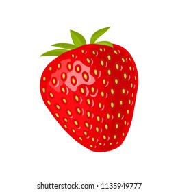 Whole strawberry. Vector color flat illustration for menu, poster. Isolated on white background