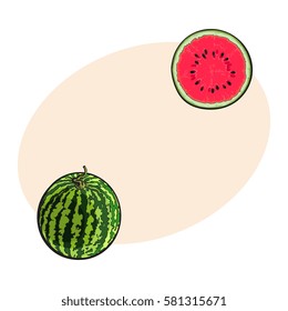 Whole striped watermelon with curled up tail and cut in half, sketch style vector illustration isolated with place for text. Realistic hand drawing of whole and half of juicy, ripe watermelon