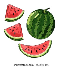 Whole striped watermelon sketch style vector illustration isolated on white background.