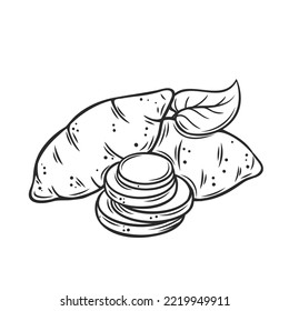 Whole sweet potato and cut in round slices outline icon vector illustration. Line hand drawn raw potato vegetable with peel and leaf, sliced ripe yam tubers for cooking healthy food in kitchen