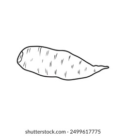 Whole sweet potato Ipomoea batatas unpeeled in black isolated on white background. Hand drawn vector sketch illustration in doodle engraved vintage line art style. Superfood, tasty vegetable