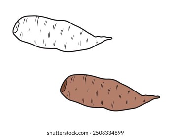 Batata doce inteira Ipomoea batatas não descascadas em preto e isoladas sobre fundo branco. ilustração de esboço de vetor desenhado à mão em doodle gravado vintage estilo de arte de linha. Superalimento, vegetal saboroso