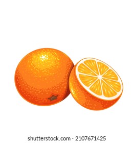 Whole tangerine and half mandarin vector illustration.