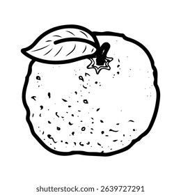 Whole tangerine. Hand drawn doodle vector. Citrus sour fruit. Summer orange. Seasonal vitamin C. Fresh organic food. Berry with juicy pulp in peel. Illustration line art element.