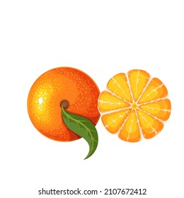 Whole tangerine or mandarin with leaf and peeled whole tangerine vector illustration.