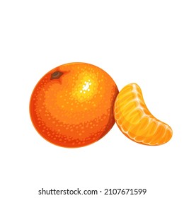 Whole Tangerine And Mandarin Slice Vector Illustration.