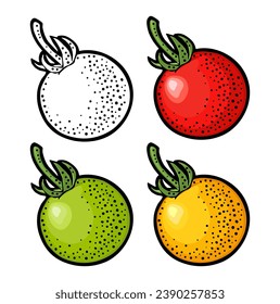 Whole tomato. Engraving vintage vector color illustration. Isolated on white background. Hand drawn design element for label and poster