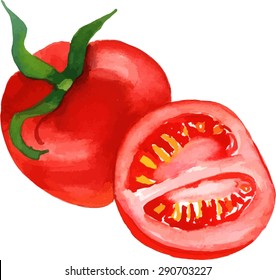 A whole tomato and a half, watercolour drawing, scalable vector graphic