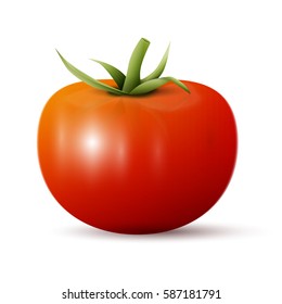 Whole tomato illustration