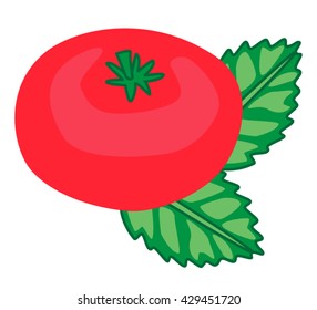 Whole tomato red with leaf basil. Raw food. Vegetables isolated on white background simple print pattern vector illustration.