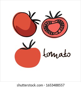 The whole tomato and slices of tomato. Colorful vector illustration with hand lettering. Perfect for teaching aid, illustrated summary, price label
