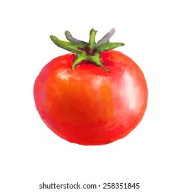 Whole tomato with tail on white background