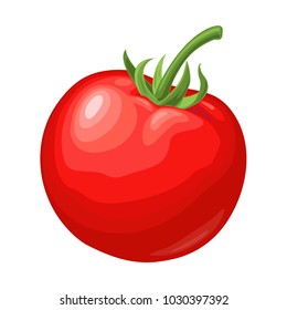 Whole tomato. Vector flat color illustration. Isolated on white background.